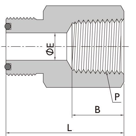 本體NPT內(nèi)牙接頭